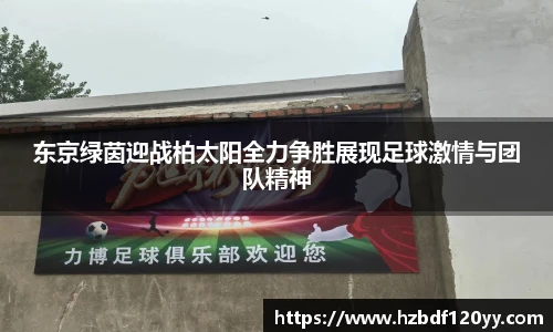 中欧体育网址