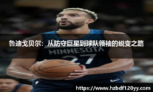中欧体育