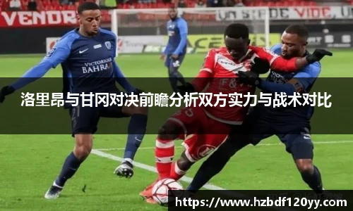 中欧体育官网