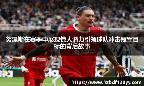 中欧体育网址