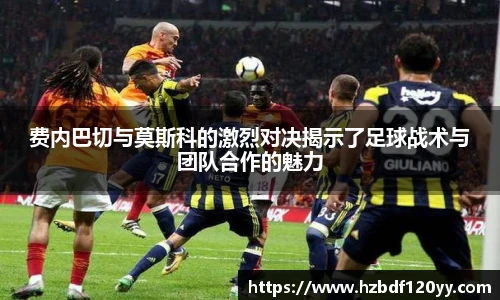 zoty中欧体育