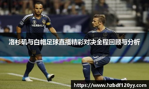 中欧体育官网